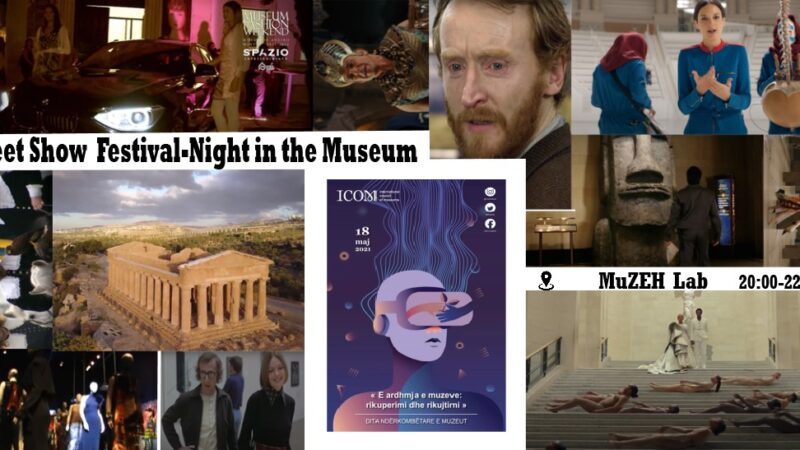 Street Show Festival-Night in the Museum